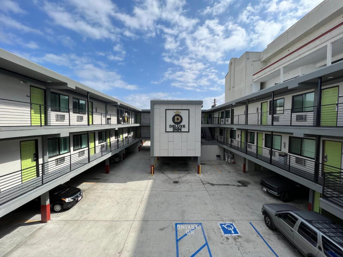 Deluxe Hawthorne/ Lax Hawthorne